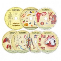 Anatomie člověka, 7 výukových programů